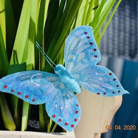 Premium-ferienhaus - Erholung Sauna Familie Extertal