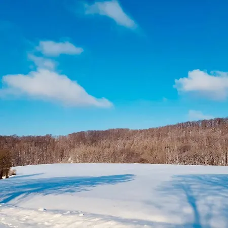 Premium-ferienhaus - Erholung Sauna Familie Extertal
