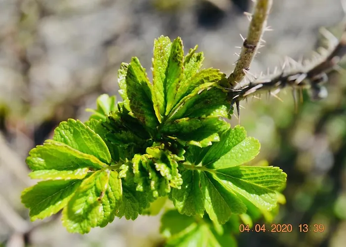Premium-ferienhaus - Erholung Sauna Familie Vakantiehuis