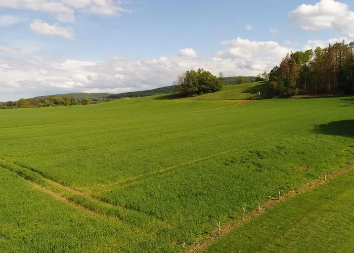 Premium-ferienhaus - Erholung Sauna Familie 度假居 *