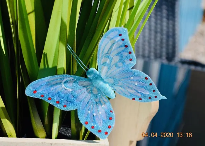 Premium-ferienhaus - Erholung Sauna Familie 埃克斯特塔尔