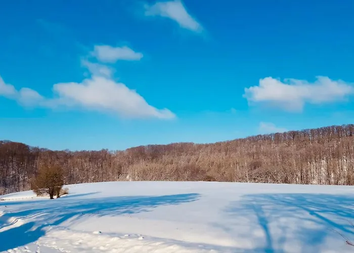 Premium-ferienhaus - Erholung Sauna Familie 埃克斯特塔尔